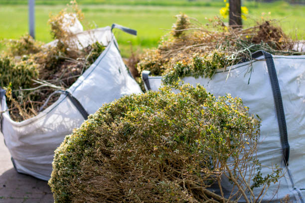Best Moving and Downsizing Cleanouts  in Romney, WV